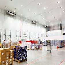 Frozen Storage: A Critical Solution for Modern Logistics